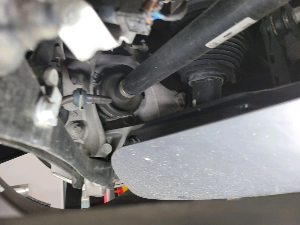 Image 41