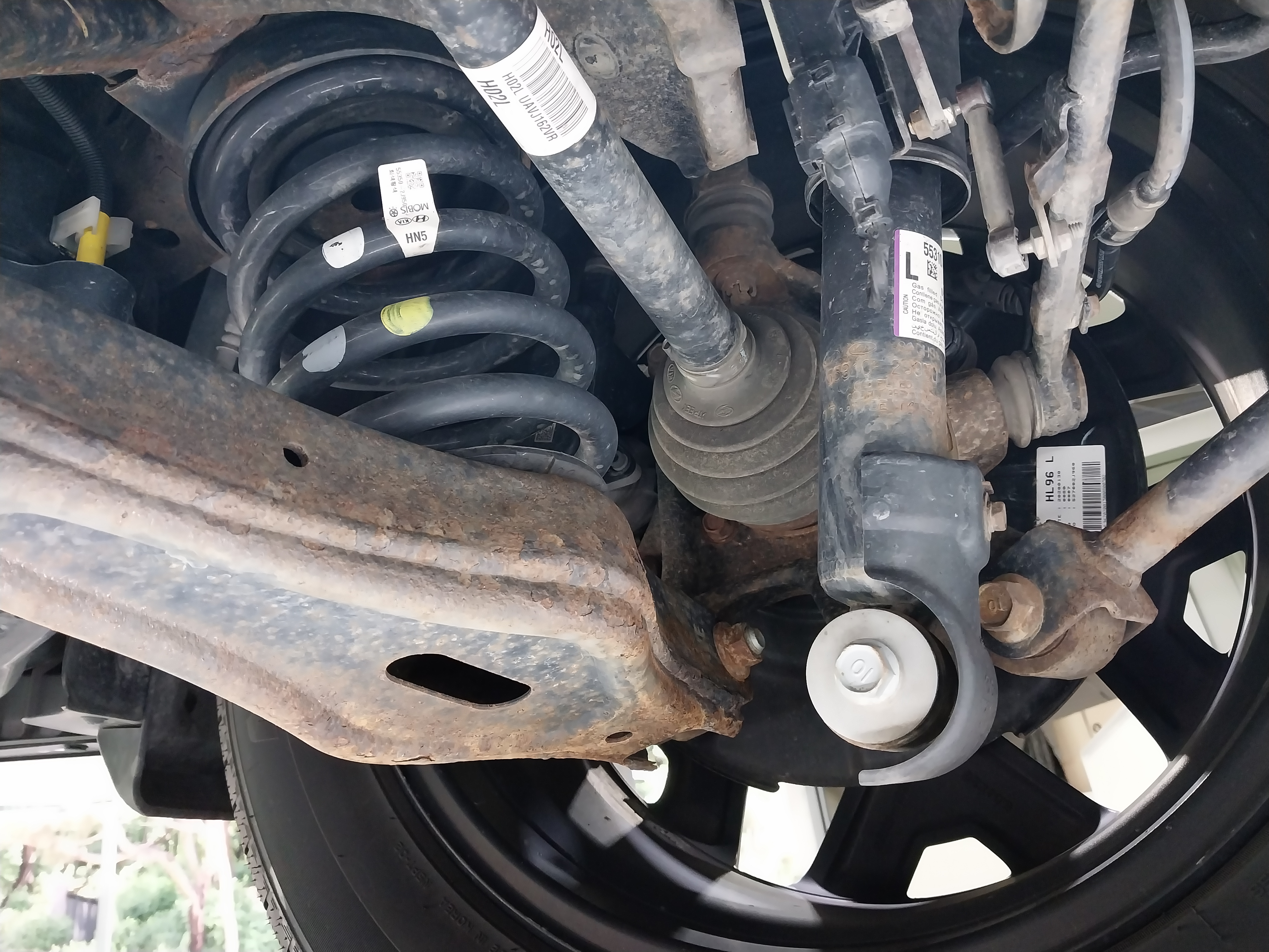 Image 38