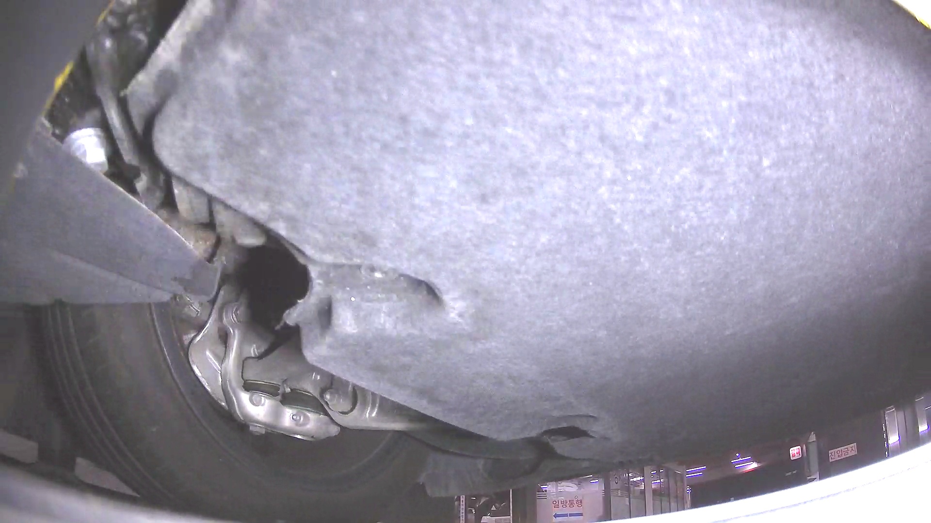 Audi A5 A5 B10 45 TFSI Quattro S Line
