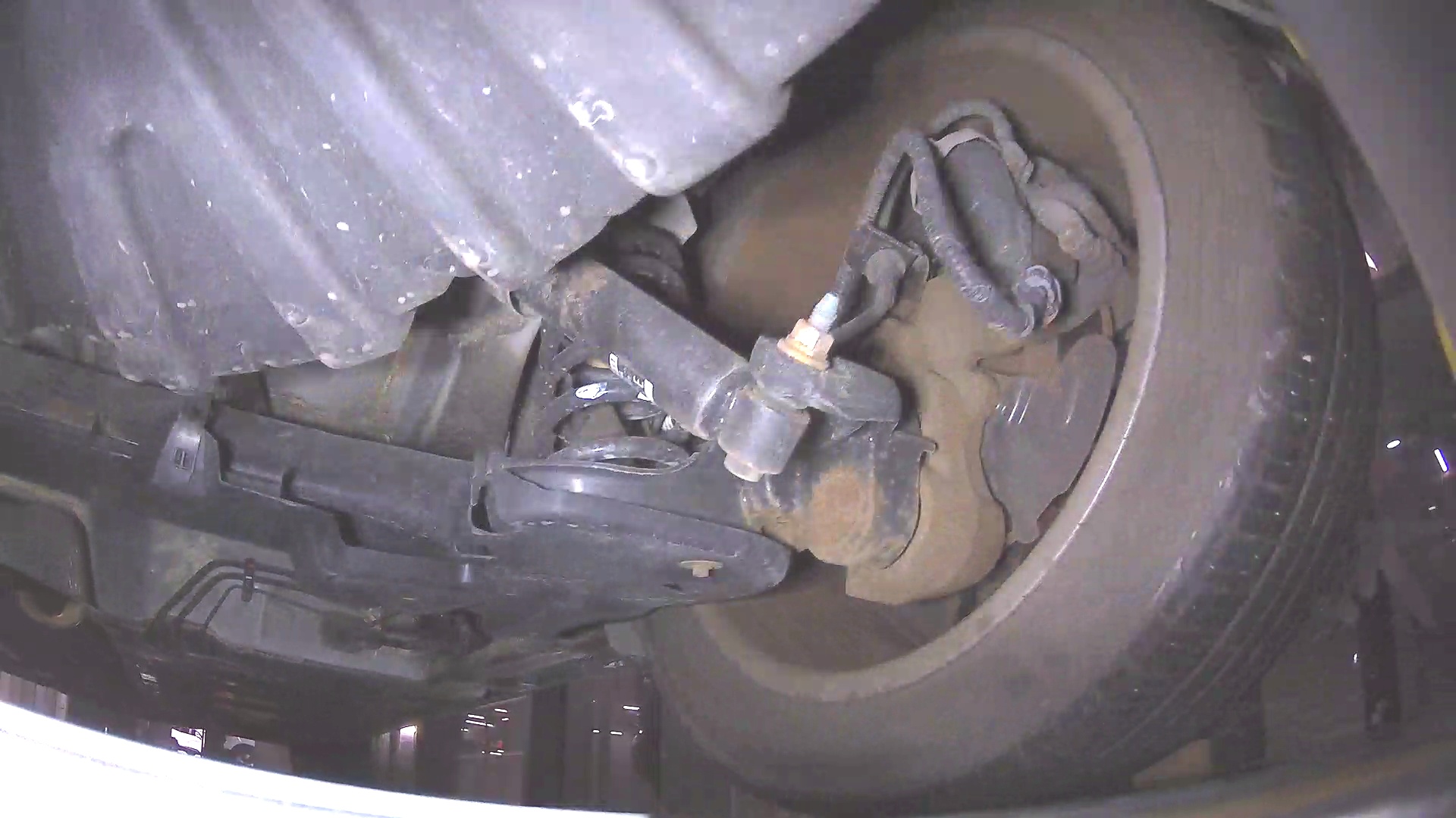 Image 36