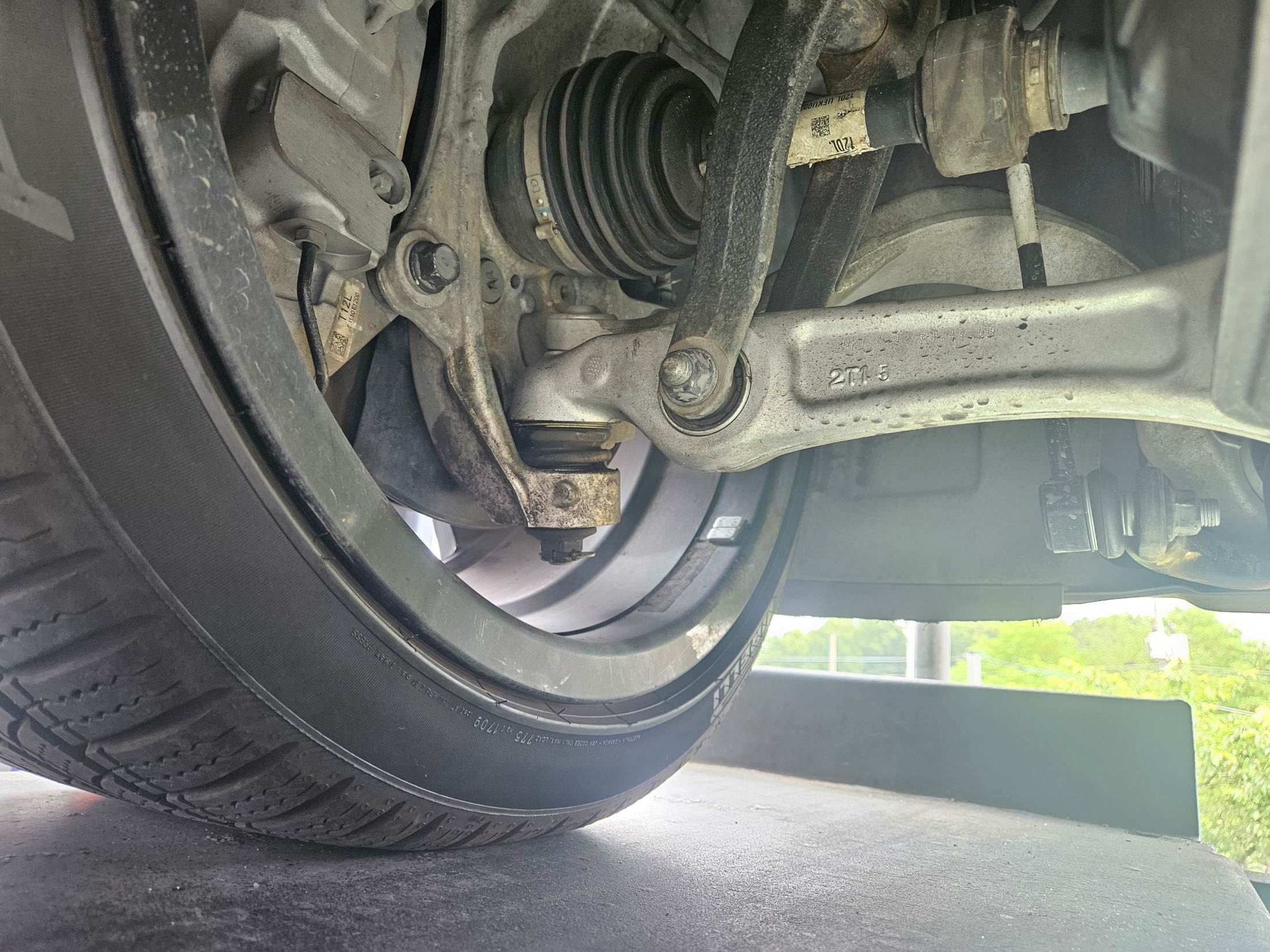 Image 42